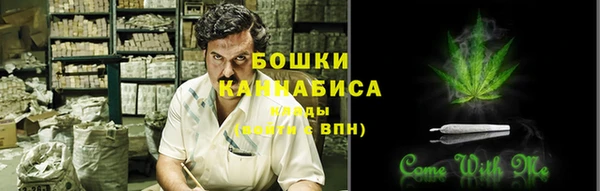 хмурый Осинники