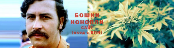 индика Остров