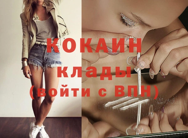 хмурый Осинники