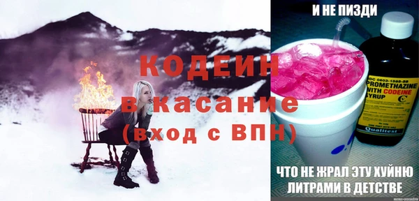 хмурый Осинники