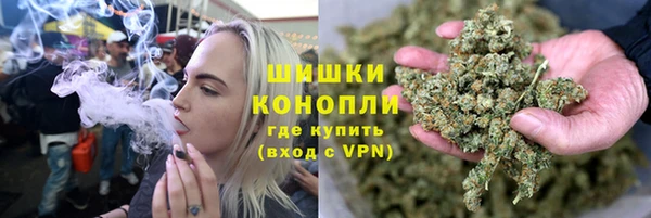хмурый Осинники