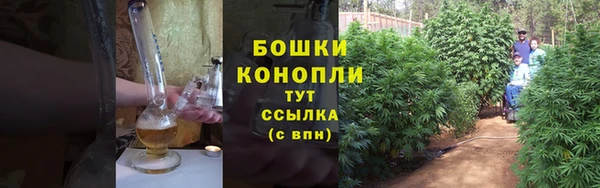 индика Остров