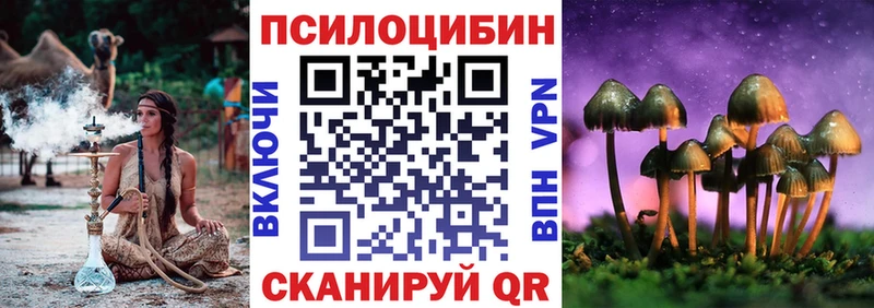 Псилоцибиновые грибы MAGIC MUSHROOMS  Купить закладки  Шелехов 
