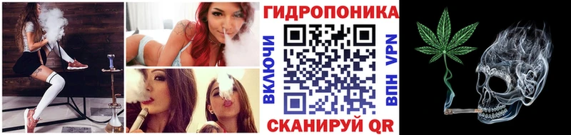 МАРИХУАНА план  Купить закладки  Шелехов 